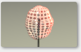 glassdots