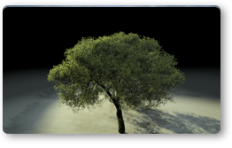 Leaf Grass Shader