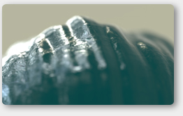 Ocean Shader